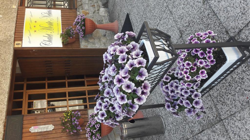 Chalet Monte Nebius วินาดิโอ ภายนอก รูปภาพ